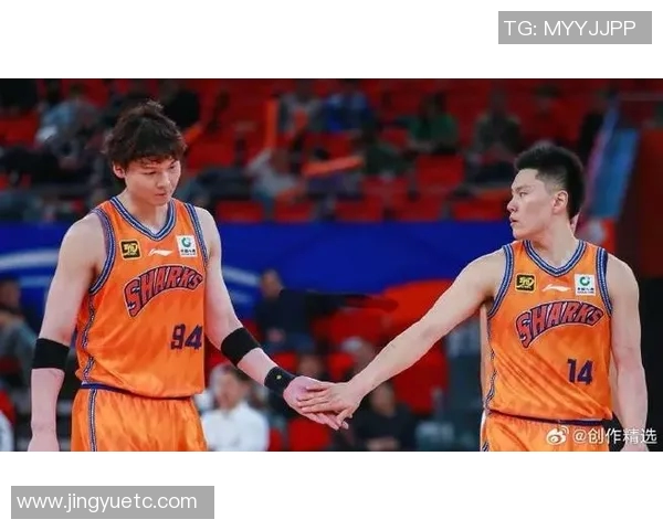 王哲林超越大郅跻身CBA得分榜第六李弘权精准投射助力球队胜利